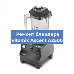 Замена щеток на блендере Vitamix Ascent A2500 в Воронеже